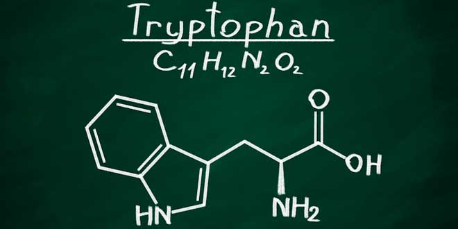 Triptófano, el aminoácido del bienestar