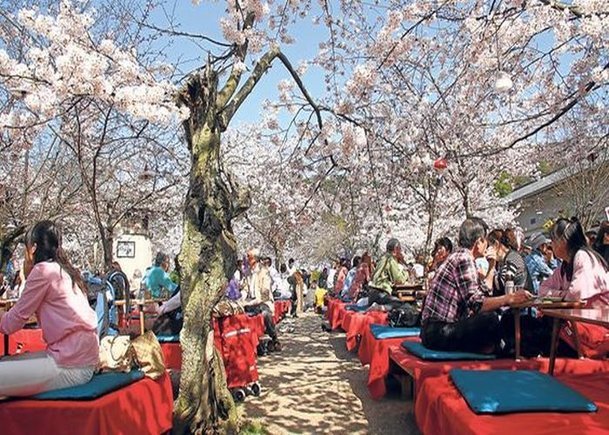 Equinoccio de primavera en Japón