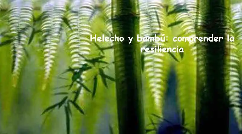 Helecho-y-bambú-un-cuento-de-hadas-para-comprender-la-resiliencia