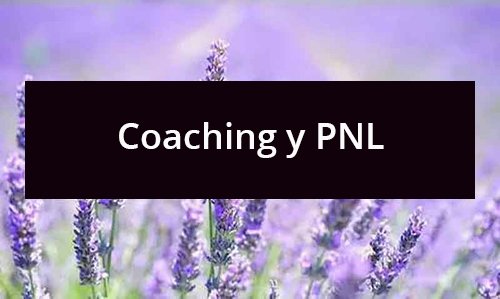 Libros-Coaching y PNL