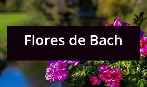Libros-Flores-de-Bach