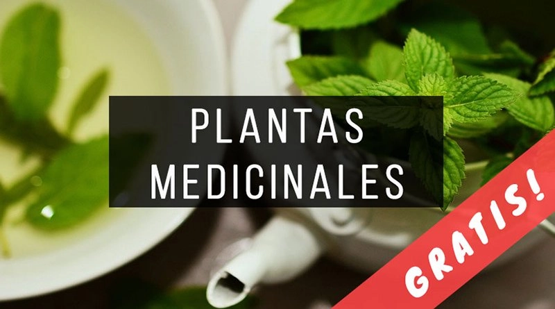 Libros-de-Plantas-Medicinales-PDF